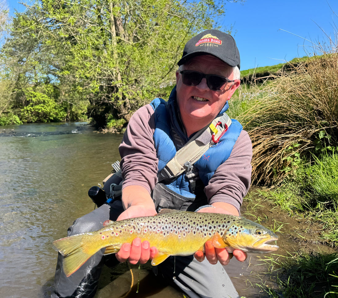 Difficult Wild Trout - Dry Fly