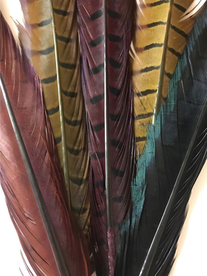Cock Pheasant Tail - Dyed