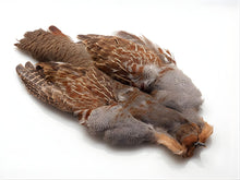 English Partridge Skin