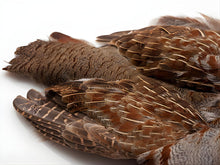 English Partridge Skin