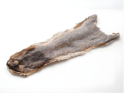 Grey Squirrel Skin