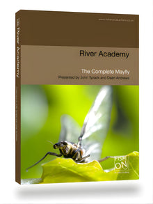 The Complete Mayfly