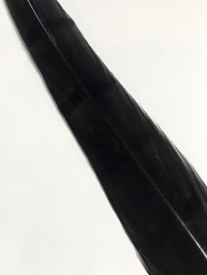Cock Pheasant Tail - Dyed