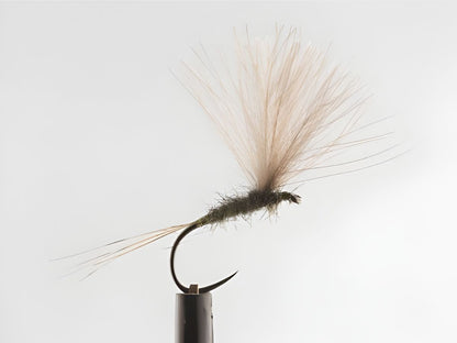 Early Season Trout Selection