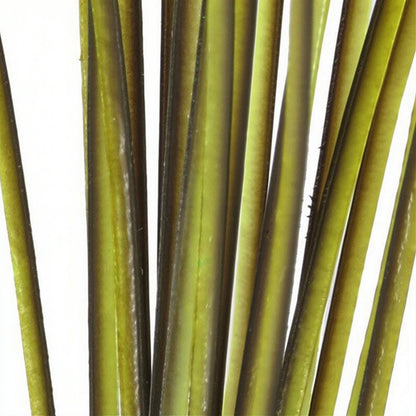 Polish Quills