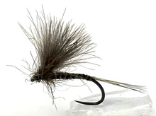 JT Olive