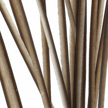 Polish Quills