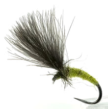 Olive Shuttlecock