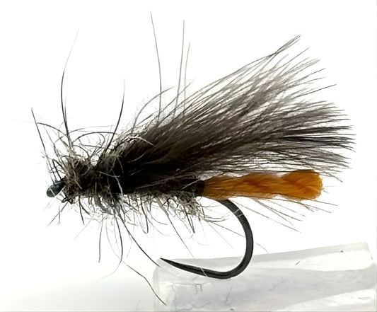 Orange Arsed Sedge