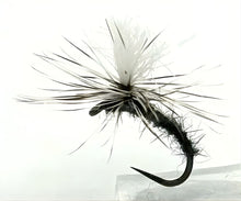 Paraduster