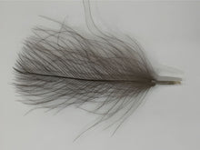 Premium CDC feathers