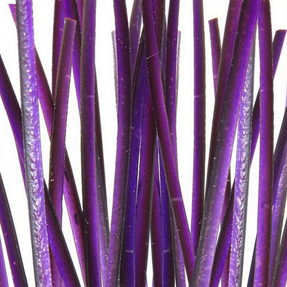Polish Quills