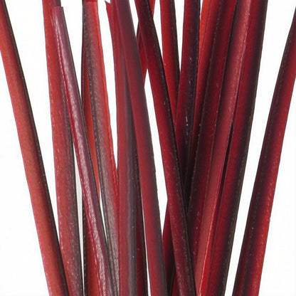 Polish Quills