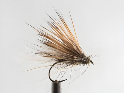 Small Stream Trout Selection