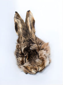 Whole Hares Mask