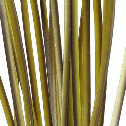 Polish Quills